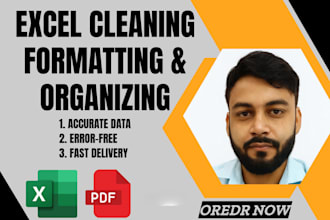 excel data cleaning formatting and organizing