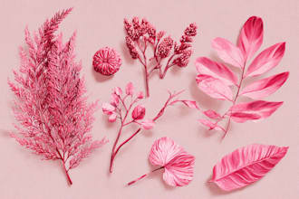 paint a botanical watercolor illustration