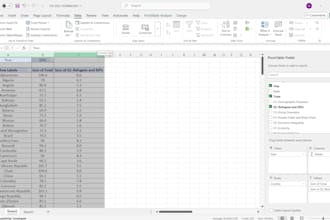 create excel graphs,pivot tables,vlookup,dashboard