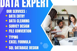 do data entry, web research, excel, pdf scraping
