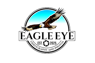 create awesome and gorgeous eagle logo design