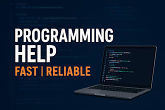 help you with programming assignments