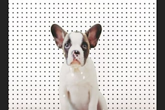 cinematic video editing with vfx and animations