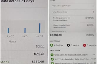 create, setup and optimize your ebay store with SEO