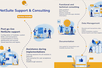 provide business solution for netsuite