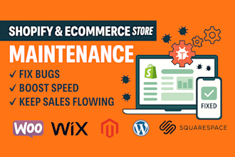 be shopify ecommerce store maintenance manager to fix website bugs functionality
