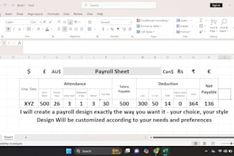prepare monthly payroll and professional salary slip