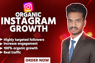 do fast organic instagram growth and engagement