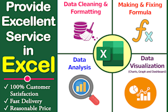 create custom excel sheets, write code, visualize data