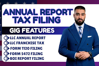 file your USA llc annual report, franchise tax, boi report, and tax return