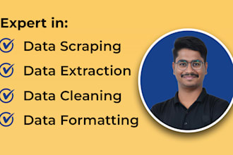 professional web scraping, data mining, and data extraction