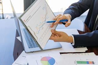provide expert data analysis and statistics services