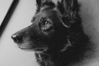 draw charcoal portrait of your pet