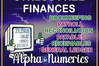 keep books, process payables, receivables, and payroll, and reconcile accounts