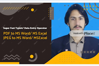 provide high quality word excel and inpage documents