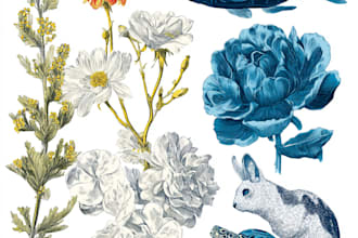 draw botanical and animal designs and patterns for you
