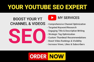 be your youtube channel and video SEO expert