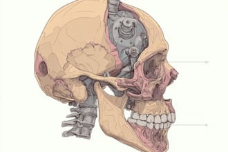 draw detailed medical illustrations