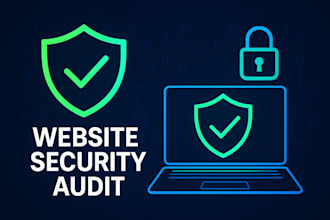 perform a basic online security check for your website or account