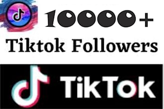 5000 non drop tiktok followers for instant