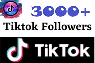 3000 non drop tiktok followers for instant
