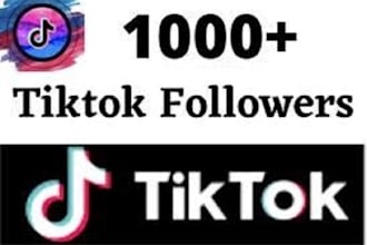 1000 non drop tiktok followers for instant