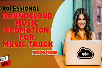 do your professional soundcloud music promotion for music track