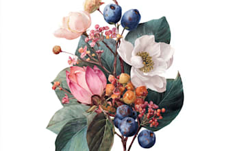 draw realistic botanical watercolor illustration