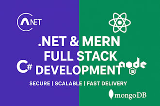 full stack dotnet or mern stack web development