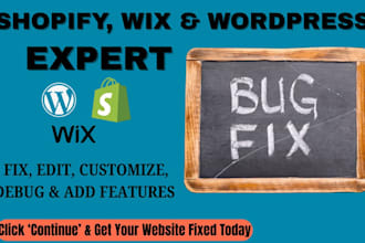 be shopify developer core web vitals wix bug fix wordpress fix  shopify coding