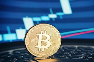 develop dex arbitrage bot, solana volume bot, market maker bot