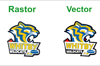 convert any images to vector file
