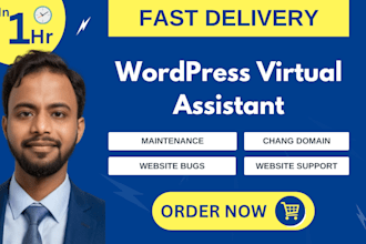 be your wordpress virtual assistant for bug fixes, support and site maintenance