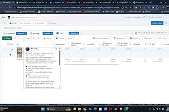 professionally manage or handle your ads campaign