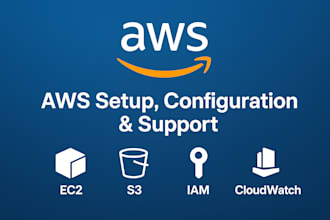 set up ec2, s3, iam, cloudwatch for your web app software or existing setup