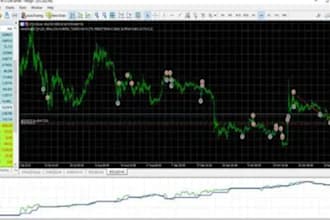 code your trading bot, eas or indicator for mt4, mt5, ninjatrader, tradingview