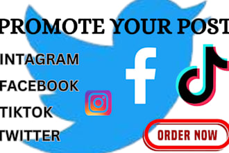 promote your facebook instagram tiktok or twitter post for maximum engagement
