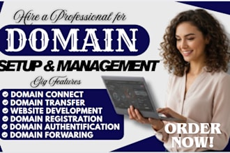 do domain registration,hosting,nameserver change,record update,domain setup