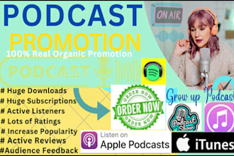do your spotify music promotion, spotify listener by targeted ads with SEO