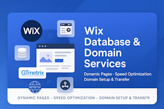 do wix website, domain connection, dynamic page, wix database, transfer domain