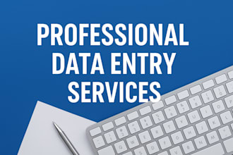 do professional data entry, typing and ms office work