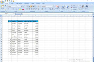 do data entry, typing work, and custom logo design