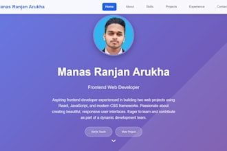 be your professional web developer