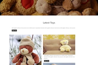 build websites as a full stack developer