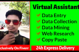 be your virtual assistant for data entry, typing,  and web research