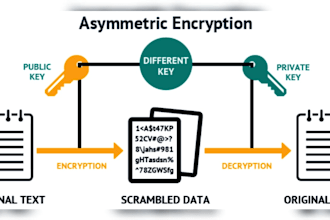 do your cybersecurity, cloud computing, vulnerability, cryptography assignment