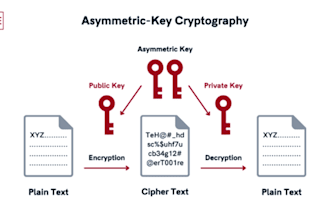 do your cybersecurity, cloud computing, vulnerability, cryptography assignment