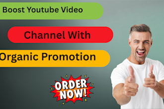 boost youtube video channel with organic promotion
