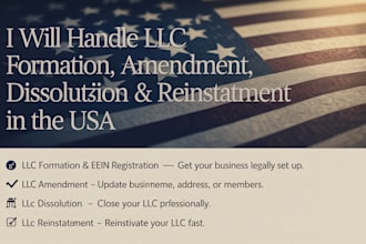 handle llc formation, amendment dissolution and reinstatement in the USA