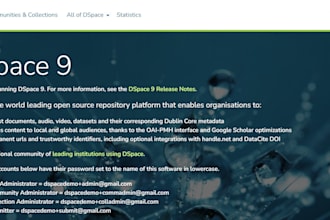 upgrade dspace with customization and migration services